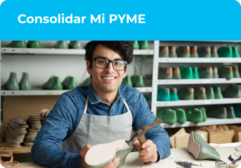 Consolidar Mi PYME